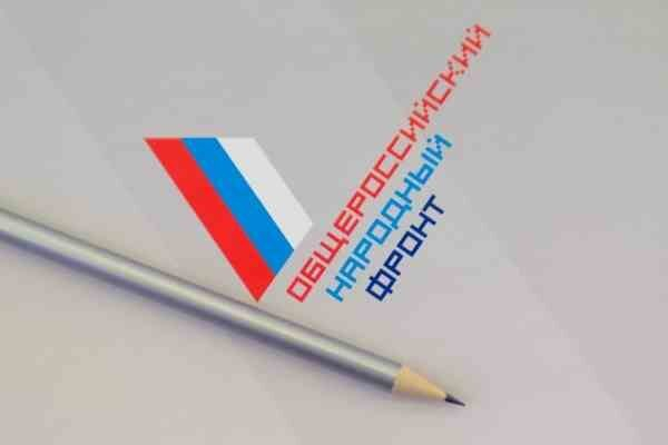 Активисты ОНФ оплатят штрафы семьи Кастолиных из Ульяновска за перевозку ребенка-инвалида Активисты ОНФ оплатят штрафы семьи Кастолиных из Ульяновска за перевозку ребенка-инвалида
