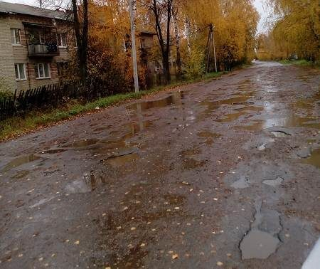 Костромские активисты ОНФ признали неэффективным ремонт дороги Шунга-Пасынково Костромские активисты ОНФ признали неэффективным ремонт дороги Шунга-Пасынково