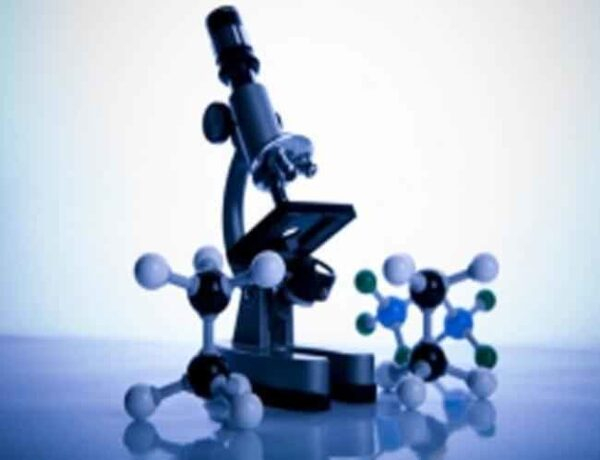 Завершилась регистрация на VII Всероссийский съезд Советов молодых ученых и специалистов «Кадровый вызов для общества знаний» Завершилась регистрация на VII Всероссийский съезд Советов молодых ученых и специалистов «Кадровый вызов для общества знаний»