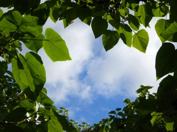 13 января - День Рождения компании «Экологические Инвестиции» 13 января - День Рождения компании «Экологические Инвестиции»