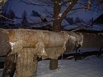Активисты Народного фронта в Костромской области присоединились к акции «С теплом – труба» Активисты Народного фронта в Костромской области присоединились к акции «С теплом – труба»
