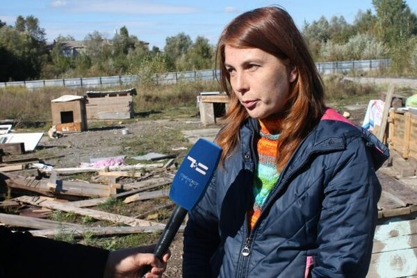 Тюменские активисты ОНФ разработают типовую схему проверки контрактов на содержание бездомных животных Тюменские активисты ОНФ разработают типовую схему проверки контрактов на содержание бездомных животных