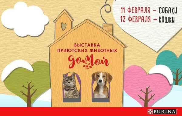 Животные из приютов ищут свой дом и любовь в канун дня святого Валентина Животные из приютов ищут свой дом и любовь в канун дня святого Валентина