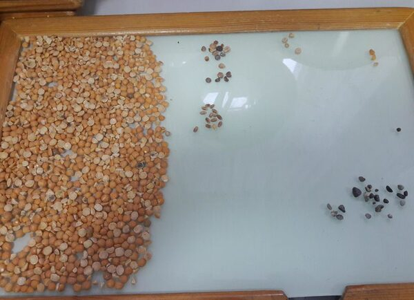 Некачественная крупа Некачественная крупа