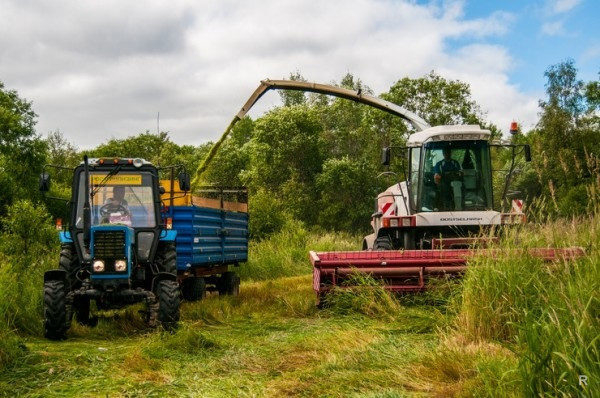 «Семейный Капитал» выстоял и развивает новые проекты «Семейный Капитал» выстоял и развивает новые проекты