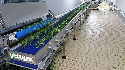 Предприниматели Юга России требуют установки конвейеров здорового питания Предприниматели Юга России требуют установки конвейеров здорового питания