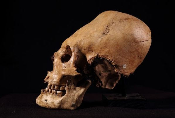 Музей Археологии и этнографии Алтая АлтГУ впервые примет участие в акции «Ночь музеев» Музей Археологии и этнографии Алтая АлтГУ впервые примет участие в акции «Ночь музеев»