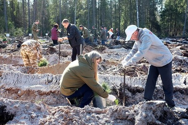 Кировские активисты ОНФ приняли участие во всероссийском Дне посадки леса Кировские активисты ОНФ приняли участие во всероссийском Дне посадки леса