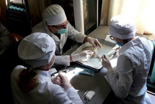 Учащиеся КФУ стали победителями VII Республиканской студенческой олимпиады по хирургии Учащиеся КФУ стали победителями VII Республиканской студенческой олимпиады по хирургии