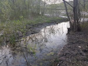 В рамках проекта ОНФ «Генеральная уборка» в Чечне ликвидированы четыре свалки В рамках проекта ОНФ «Генеральная уборка» в Чечне ликвидированы четыре свалки