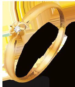 Русское Золото представило новую коллекцию облегченных обручальных колец с бриллиантами Русское Золото представило новую коллекцию облегченных обручальных колец с бриллиантами