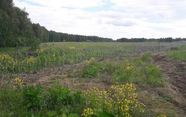 Челябинские эксперты ОНФ призвали убрать колючую проволоку на территории Шершневского лесничества Челябинские эксперты ОНФ призвали убрать колючую проволоку на территории Шершневского лесничества
