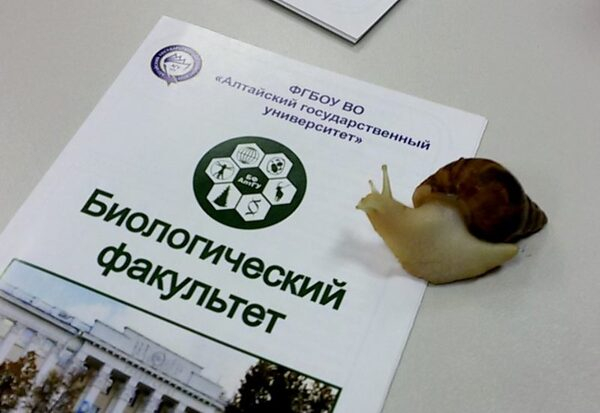 Поступающим на биологический факультет АлтГУ дарят «Белые нефриты» Поступающим на биологический факультет АлтГУ дарят «Белые нефриты»