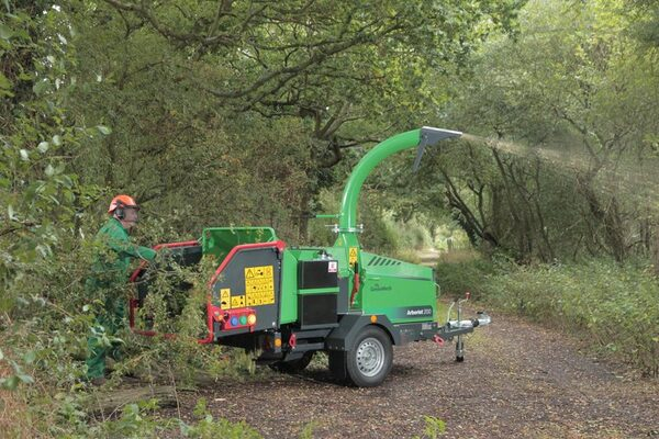 Самые популярные зеленые в Европе Самые популярные зеленые в Европе