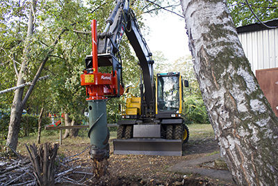 Борьба с пнями - дело непростое Борьба с пнями - дело непростое