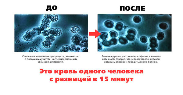 Российские и японские медики раскроют секреты вечной молодости и долголетия Российские и японские медики раскроют секреты вечной молодости и долголетия