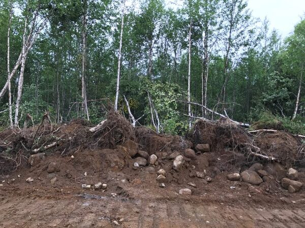 Мурманские активисты ОНФ выявили незаконную вырубку леса неподалеку от Коашвы Мурманские активисты ОНФ выявили незаконную вырубку леса неподалеку от Коашвы