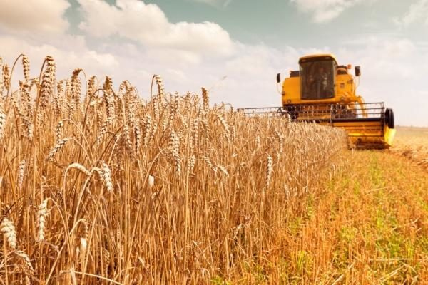 Журналист Олег Лурье рассказал о проблемах с кредитами концерна «Покровский» Журналист Олег Лурье рассказал о проблемах с кредитами концерна «Покровский»