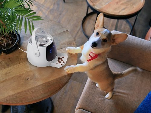 Pawbo представляет новые трекеры для домашних питомцев и «умный» диспенсер корма Pawbo представляет новые трекеры для домашних питомцев и «умный» диспенсер корма