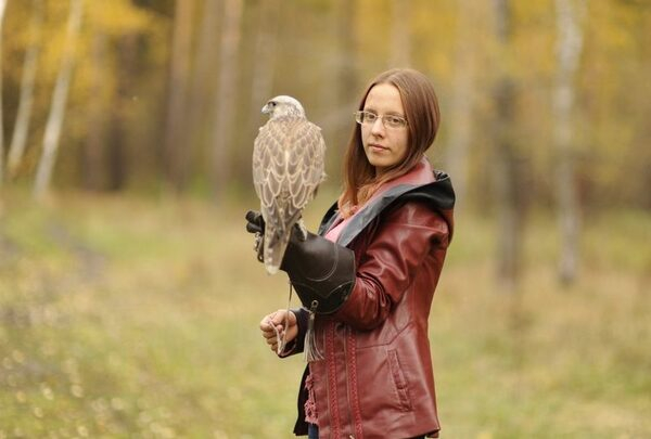 На «Алтай-Азии – 2017» в АлтГУ состоится премьера научно-популярного фильма «Соколы» На «Алтай-Азии – 2017» в АлтГУ состоится премьера научно-популярного фильма «Соколы»