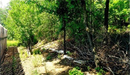 Активисты ОНФ проверяют законность вырубки деревьев в садоводческом товариществе Благовещенска Активисты ОНФ проверяют законность вырубки деревьев в садоводческом товариществе Благовещенска