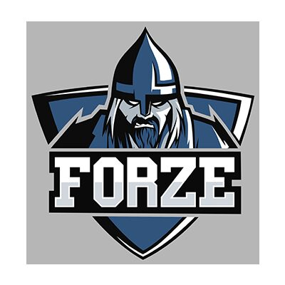 Команда из России стала чемпионом мира по киберспорту! Команда из России стала чемпионом мира по киберспорту!