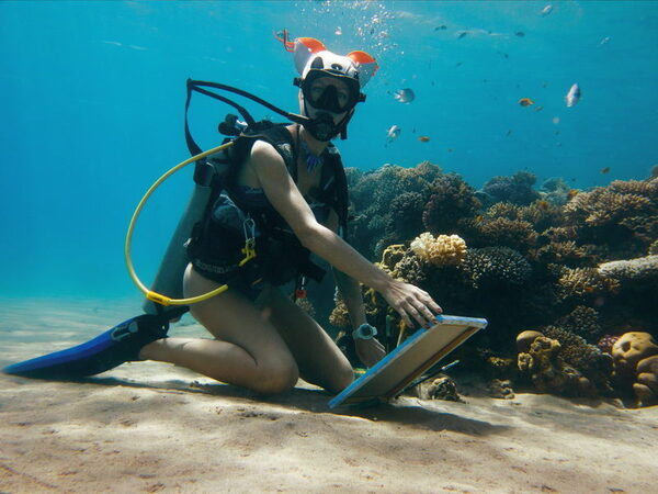 Что станет с картиной подводного художника Ольги Белкиной? Что станет с картиной подводного художника Ольги Белкиной?