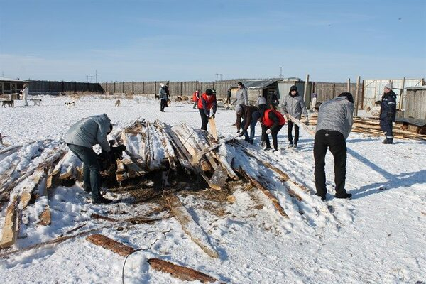 Активисты ОНФ в Челябинской области помогли благотворительному приюту для бездомных животных Активисты ОНФ в Челябинской области помогли благотворительному приюту для бездомных животных