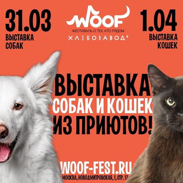 Фестиваль WOOF в поддержку животных из приютов состоится 31 марта и 1 апреля 2018 года Фестиваль WOOF в поддержку животных из приютов состоится 31 марта и 1 апреля 2018 года