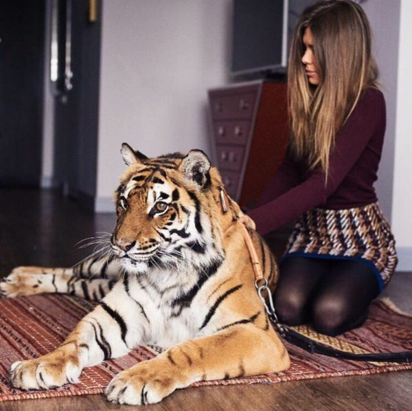 Холистический терапевт Элина Мова ведет постоянный прием в Москве Холистический терапевт Элина Мова ведет постоянный прием в Москве