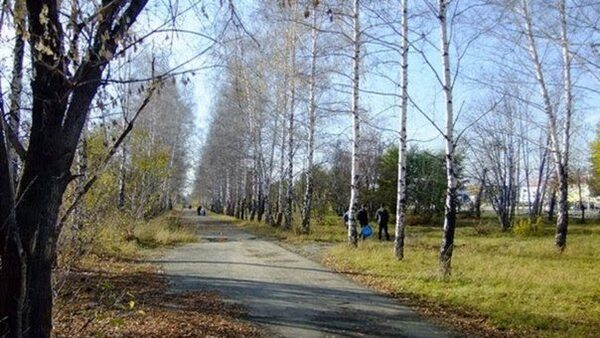 Опорный АлтГУ примет активное участие в восстановлении парка «Победа» в Барнауле Опорный АлтГУ примет активное участие в восстановлении парка «Победа» в Барнауле