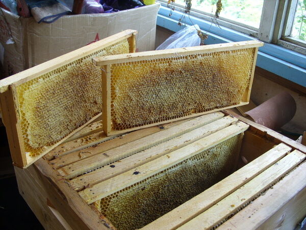 «Рамочный комбайн» можно будет увидеть на форуме-выставке «Кооперация-2018» «Рамочный комбайн» можно будет увидеть на форуме-выставке «Кооперация-2018»