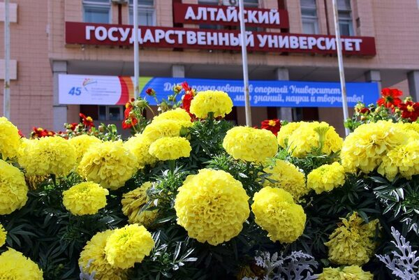У главного корпуса АлтГУ создан один из самых красивых и уютных уголков Барнаула У главного корпуса АлтГУ создан один из самых красивых и уютных уголков Барнаула
