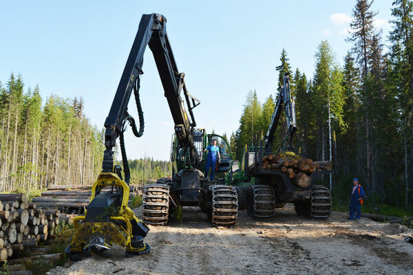 За восемь месяцев ГК УЛК заготовила почти 1,5 млн кубометров древесины За восемь месяцев ГК УЛК заготовила почти 1,5 млн кубометров древесины
