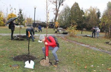 Команда «Молодежки ОНФ» высадила деревья в парке Патриотов Воронежа Команда «Молодежки ОНФ» высадила деревья в парке Патриотов Воронежа