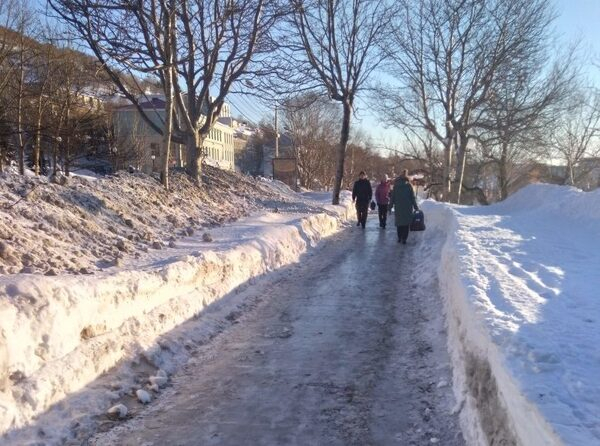 Активисты ОНФ проинформировали власти Петропавловска-Камчатского о недостатках содержания дорог зимой Активисты ОНФ проинформировали власти Петропавловска-Камчатского о недостатках содержания дорог зимой