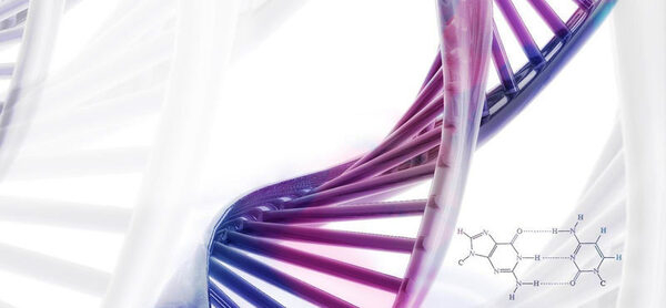 Эпигенетика – наука будущего Эпигенетика – наука будущего