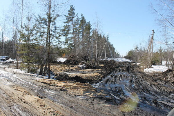 Воронежские активисты ОНФ попросили надзорные органы проверить законность строительных работ на территории «зеленого щита» Воронежские активисты ОНФ попросили надзорные органы проверить законность строительных работ на территории «зеленого щита»
