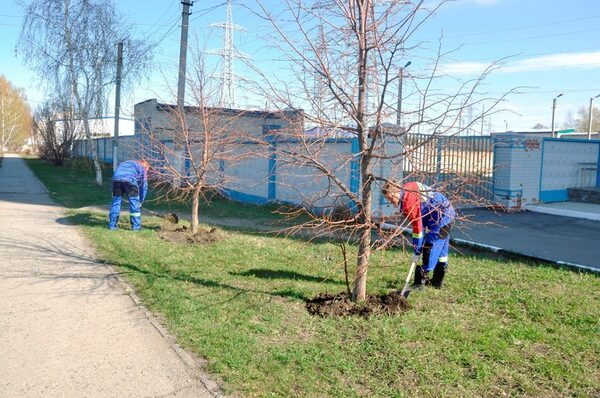Коллектив ульяновского филиала «МРСК Волги» приняли участие в субботнике Коллектив ульяновского филиала «МРСК Волги» приняли участие в субботнике