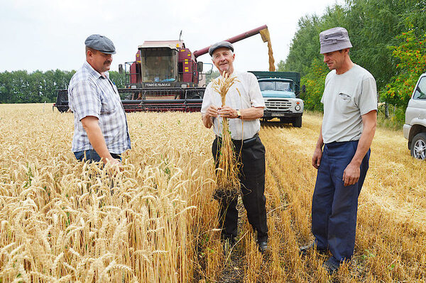 В Калмыкии растет число пенсионеров, получающих «сельскую» надбавку В Калмыкии растет число пенсионеров, получающих «сельскую» надбавку
