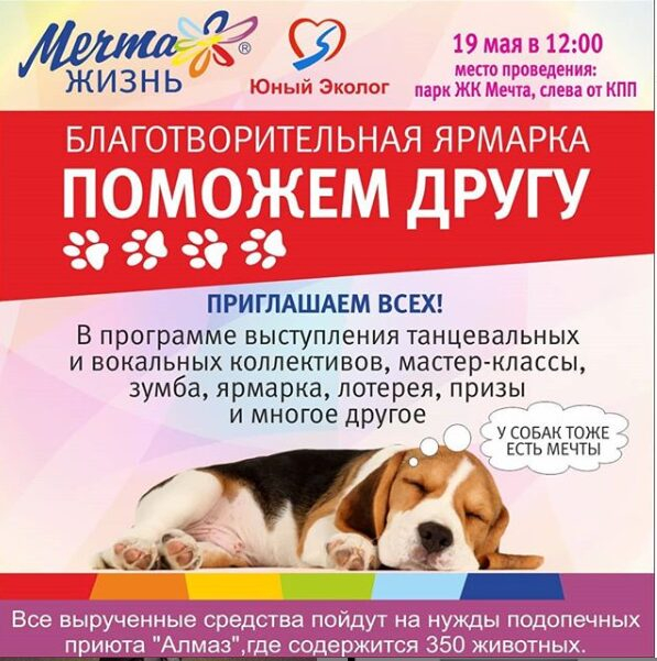 Благотворительная ярмарка в ЖК «Мечта» Благотворительная ярмарка в ЖК «Мечта»