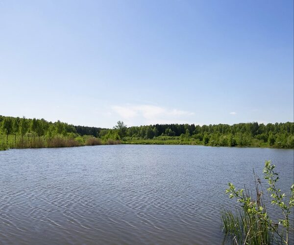 Компания «Красивая Земля» запускает в продажу посёлок в Новой Москве Компания «Красивая Земля» запускает в продажу посёлок в Новой Москве