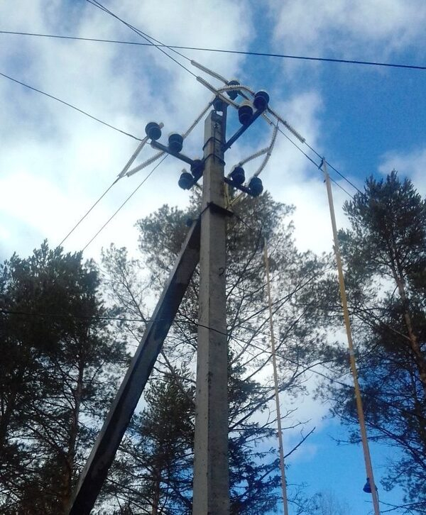 В «Россети Центр и Приволжье Удмуртэнерго» заботятся об экологической безопасности энергообъектов В «Россети Центр и Приволжье Удмуртэнерго» заботятся об экологической безопасности энергообъектов