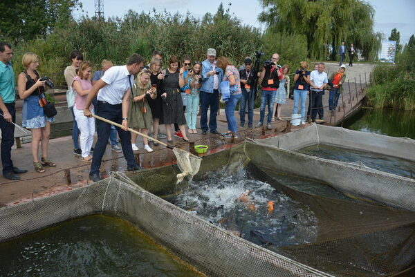 За 20 лет в водоем-охладитель Курской АЭС выпущено свыше 100 тонн рыбы За 20 лет в водоем-охладитель Курской АЭС выпущено свыше 100 тонн рыбы