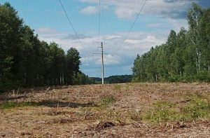 Более 1600 га трасс воздушных линий электропередачи были расчищены Калугаэнерго от поросли Более 1600 га трасс воздушных линий электропередачи были расчищены Калугаэнерго от поросли