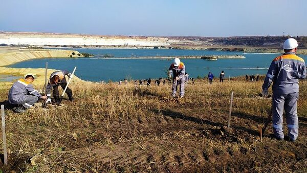Рекультивация карьера: сотрудники «Белгородского цемента» и студенты-волонтеры высадили 2 тысячи саженцев белой акации Рекультивация карьера: сотрудники «Белгородского цемента» и студенты-волонтеры высадили 2 тысячи саженцев белой акации