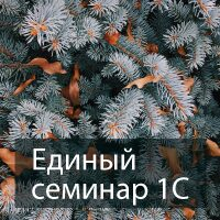Осталось 3 дня, чтобы зарегистрироваться на Единый семинар 1С! Осталось 3 дня, чтобы зарегистрироваться на Единый семинар 1С!