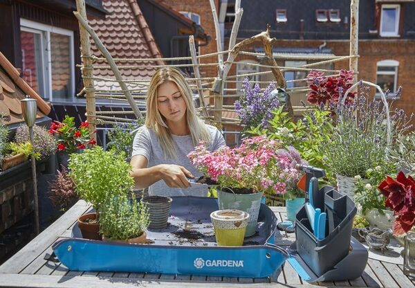 Копаем по-новому: что принес 2019 год рынку садовой техники Копаем по-новому: что принес 2019 год рынку садовой техники