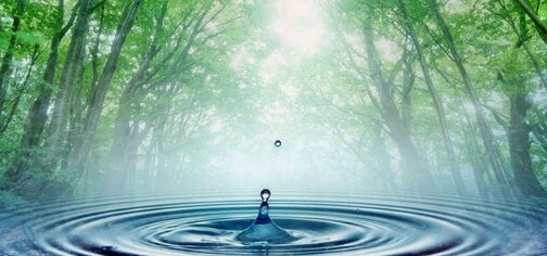 Биосферный экологический центр восстановления здоровья “Казачок” Биосферный экологический центр восстановления здоровья “Казачок”