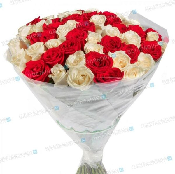 Акция на розы «Эквадор» в интернет-магазине «Цветландия» Акция на розы «Эквадор» в интернет-магазине «Цветландия»